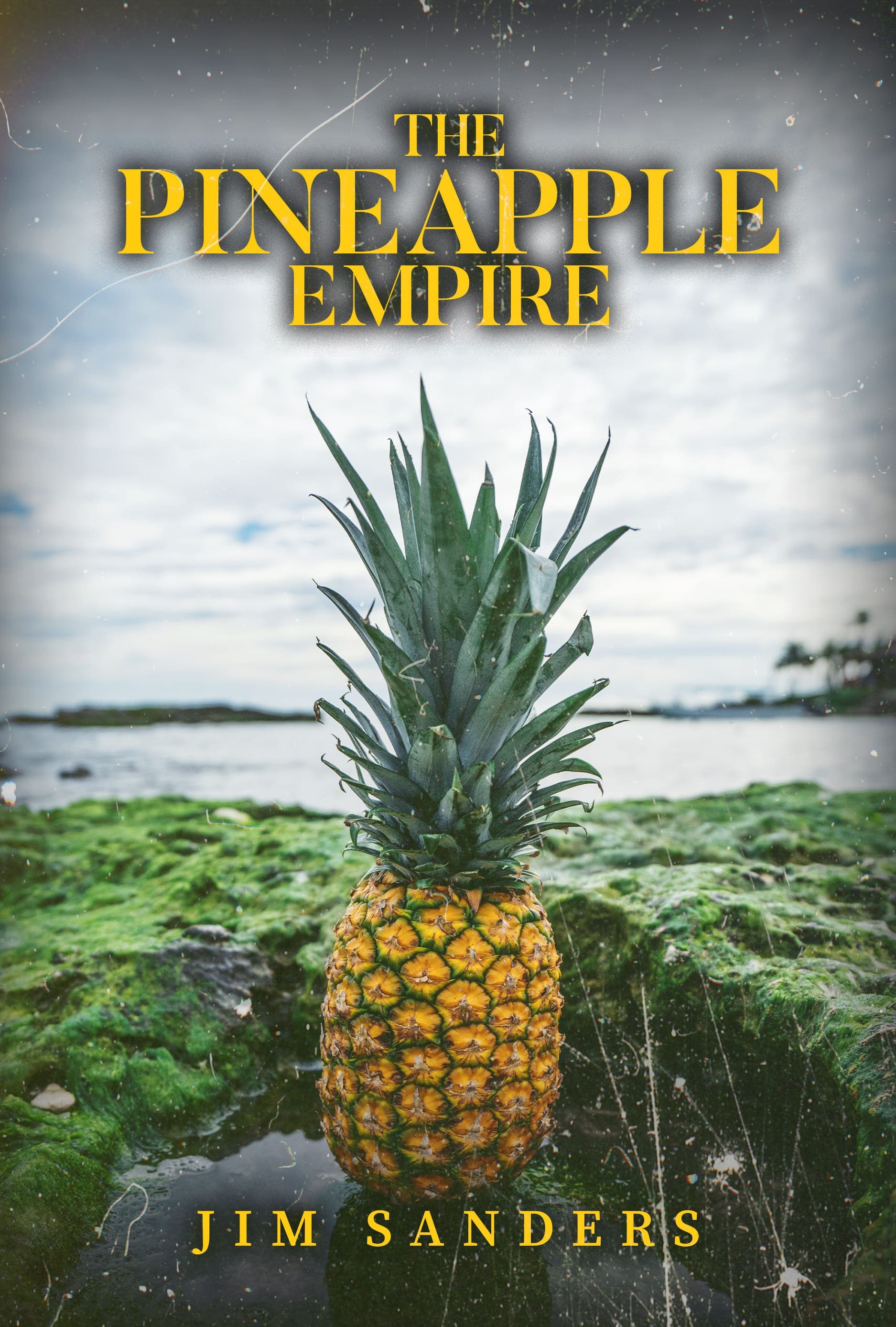 The Pineapple Empire by Jim Sanders - A captivating image showcasing the legacy of the pineapple industry